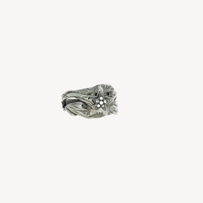 Diamonds Star Gold and Silver Ring