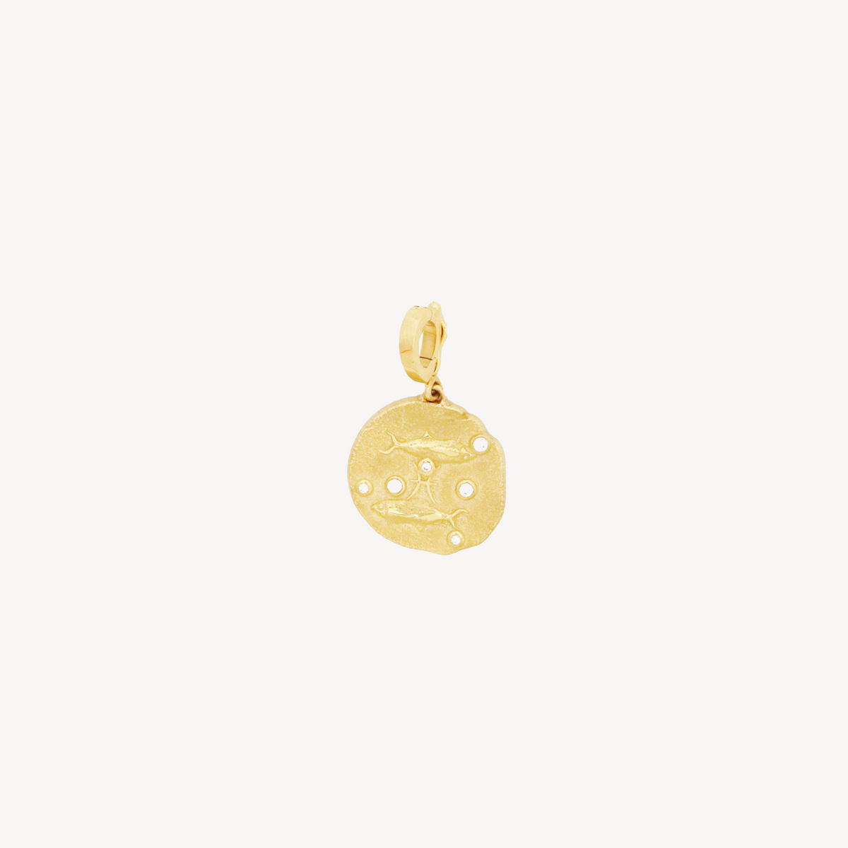 Charm Pisces Small Coin
