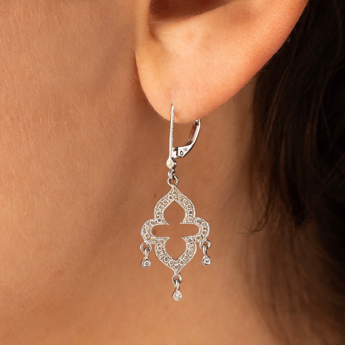White Gold and Diamonds Earrings