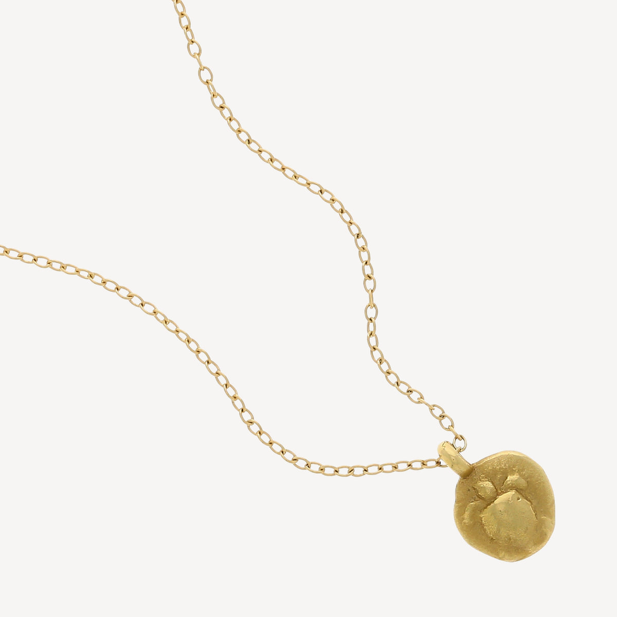 Turtle Coin Necklace